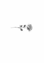 Black rose tattoo gallery is listed as a single location. Pin By Brynley Anderson On Arte Tattoos Small Rose Tattoo Little Tattoos