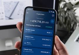 This does not mean you should trust them with all your funds — we'll explain why below. Crypto Com Review Safe Legit Interest Rates 05 2021
