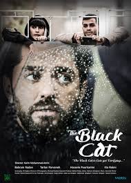 The Black Cat (2020)