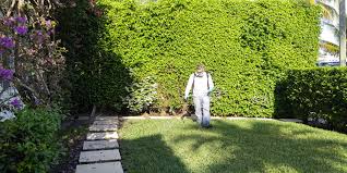 Is preventative pest control worth it? Things To Consider When Selecting A Pest Control Service Home Improvements