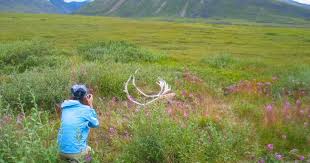 What is the arctic circle in alaska? Fairbanks Arctic Tours Fly Or Drive Above The Arctic Alaska Org