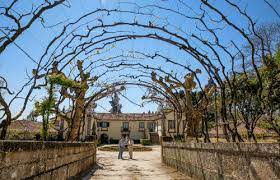 Odemira *vila nova de monsarros, a parish in the municipality of anadia *vila nova de oliveirinha, a vila nova — de são pedro fue una civilización calcolítica de portugal, situada en la región en. Portugiesische Weine Von Casa De Vila Nova Vinho Verde Vinello De