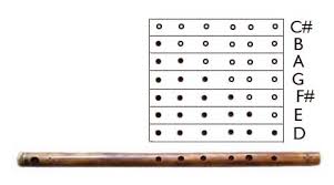 How To Play Windwood Flutes