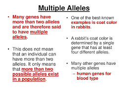 Amoeba sisters scientific method this is for a video found on youtube. What Does Multiple Alleles Mean In English
