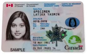 Learn about the most common types of green cards here. 0501 Permanent Resident Card Pei Association For Newcomers To Canada