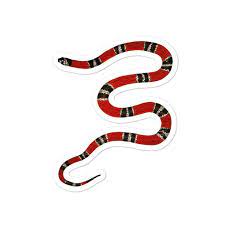 Coral Snake Sticker Water Bottle Stickers Laptop Decal Snake Illustration Water Bottle Stickers Laptop Decal
