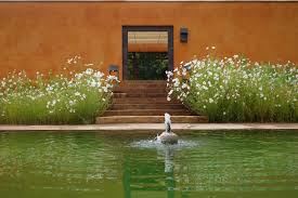 Casa Caruncho Temporal Cosmic Garden Fernando Caruncho Disenos De Jardines Arquitectura De Jardines Arquitecto Paisajista