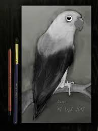 Maybe you would like to learn more about one of these? 38 Gambar Burung Lukisan Terbagus Lingkar Png