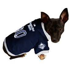 Tampa Bay Rays Navy Blue Mesh Pet Jersey Dog Jersey Mlb Detroit Tigers Mlb Apparel