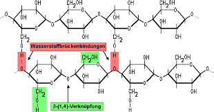 Cellulose is an international journal devoted to the dissemination of research and scientific and technological progress in the field of cellulose and related naturally occurring polymers. Naturliche Polymere Und Produkte