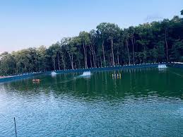 Large quantities of trees make effective barriers on beaches to prevent soil erosion. Narithookil Fish Farm Home Facebook