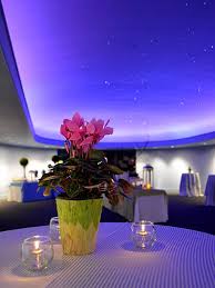 Fernbank Museum Of Natural History Star Gallery Www Affairs Com Celestial Wedding Event Venues Natural History