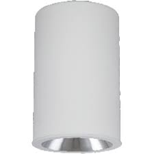 Use capital letters mark boxes with an where applicable use black pen. Pl801 Led Ceiling Or Pendant Mount Cylinder Black White Or Silver Gray Quantalight