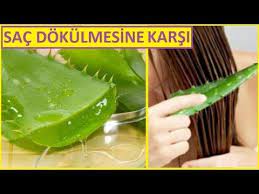 Asiri Sac Dokulmesine Karsi Aloe Vera Maskesi Sac Bakimi Guzellik Bakim Youtube Aloe Sac Bakimi Sac