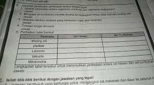 Check spelling or type a new query. Lengkapilah Diagram Di Bawah Ini Dengan Jenis Hewan Hewan Tersebut