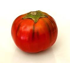 Image result for Solanum aethiopicum