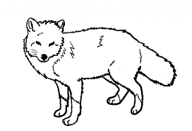 Free Printable Fox Coloring Pages For Kids Fox Coloring Page Animal Coloring Pages Elephant Coloring Page