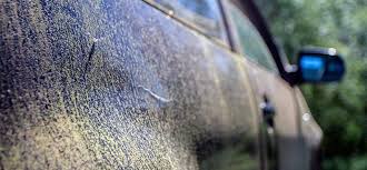 Rugs and carpets are a perfect place for molds to grow because they have the ability to retain moisture. How To Get Rid Of Mold In Your Car Easy Guide Auto Chimps