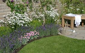 Planting a formal rose garden. Small Border Planting Ideas With High Impact Blog At Thompson Morgan