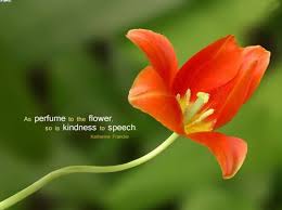 Flowers always make us feel happy, relaxed, and refreshed. Beautiful Flowers With Life Quotes Inspiring Quotes