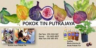 Justeru, berpegang kepada peribahasa 'di mana ada. Pokok Buah Tin Blog Mak Tam