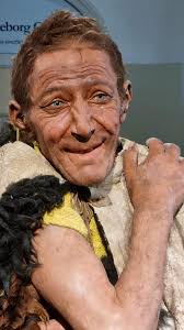 Here's some pictures I took of the model of the Tollund Man in Silkeborg  museum.