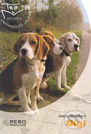 Image result for bígl