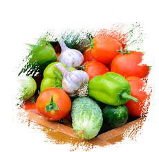 Aajeevika Fram Fresh Organic Food Fruit And Vegetables Products