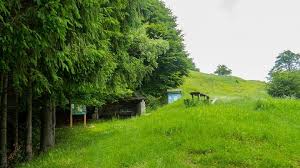 Muntele Cacova Parcul National Buila Vanturarita Hiking Trails Country Roads Trail