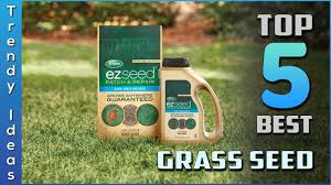 Grasses used in illinois are typically cool season grasses. Top 5 Best Grass Seeds Review In 2021 Youtube