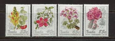 Image result for Adenolobus pechuelii