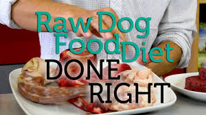 However, some raw dog food followers note that a dog's digestive system is more adept at dealing with these bacteria, as it is not as long and more acidic than ours.3 x this problem can lead to bone deformities in puppies. How To Do The Raw Dog Food Diet Right Youtube