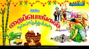 According to the gregorian calendar it is celebrated on 16 january. Best Thai Pongal Wishes In Tamil Hd Wallpapers Inspiration Quotes Best Thai Pongal Greetings Pictures T Happy Pongal Happy Pongal Wishes Pongal Wishes In Tamil