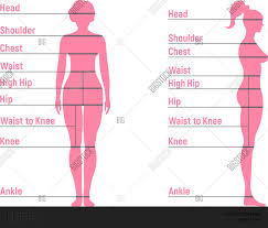 We did not find results for: Female Size Chart Vector Photo Free Trial Bigstock