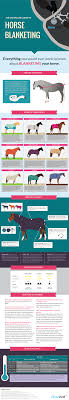 Learn About How To Measure Your Horse For A Blanket Whether To Blanket Them Parts Of A Blanket Horse Blanketing Terminolog Horse Care Horses Horse Care Tips
