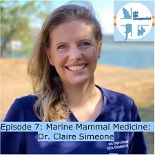 Vet the Unexpected (podcast)