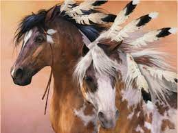 Pin By Angela Rives On Horses Native American Horses Indian Horses Horse Painting