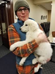 Since 1998, angel adoption has been helping expectant mothers from portland, salem, eugene, gresham. Holding Court Great Pyrenees Puppies Tracy Hoffman Memorial Run More