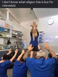 The Art Of Wtf Vol 6 22 Pics Funny Animal Memes Animal Memes Clean Funny Animals