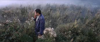 Without further ado, the envelope, please. Top 10 Soviet Films You Should Watch
