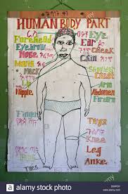 Human Body Parts Chart In Shashemene Jamaican School Oromia