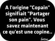Panneaux Page 244 Citations Coquines Citation Humour Humour