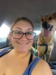 Lost Pet Sarge in Denison, Texas