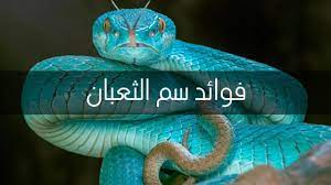 Scopri ricette, idee per la casa, consigli di stile e altre idee da provare. ÙÙˆØ§Ø¦Ø¯ Ø³Ù… Ø§Ù„Ø«Ø¹Ø¨Ø§Ù† Youtube