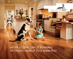 Pergo The Dog Flooring Store Flooring Options Vinyl Flooring