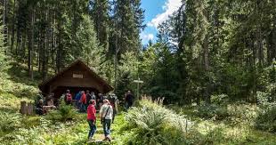 Baiersbronn Bierwanderung Wanderung Mit Unterhaltungsfaktor Wanderung Urlaub Reisen