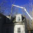 Ernies Tree Service - Tree Services - 100Cool Spring
