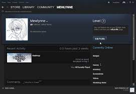 It appears at the bottom of your admission ticket and at the top of your student report. How Do I Find My Steam Id Nexon America Support Center