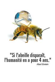 Résultat de recherche d'images pour "pesticides abeilles"