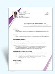 Epingle Par Alex Yeung Sur Bureau Modele Cv Word Modele Cv Telecharger Modele Cv